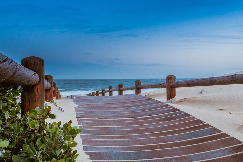 Day 1: Mombasa - Tsavo East