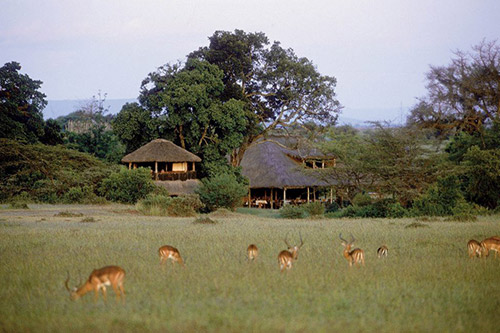 Day 6; Full Day Masai Mara