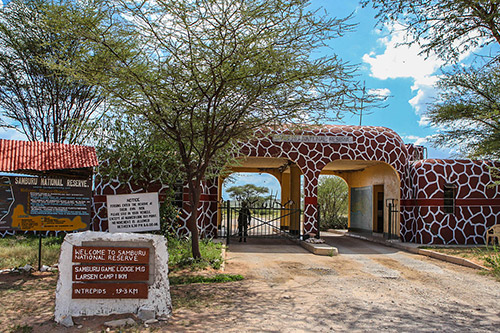 Day 4; Samburu National Park